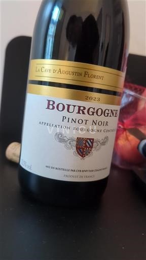 Bourgogne La Cave Augustin Florent 2023