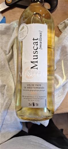 Provence Domaine Régusse 2010