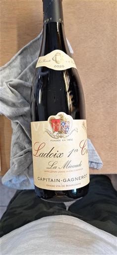 Bourgogne Premier Cru Capitain-Gagnerot La Micaude 2020