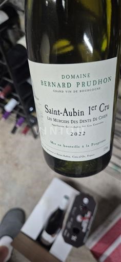 Borgonha Saint-Aubin Premier Cru Domaine Bernard Prudhon Les Murgers des Dents de Chien 2022