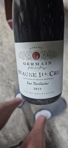 Borgogna Beaune Premier Cru Domaine Germain Les Tuvilains 2019