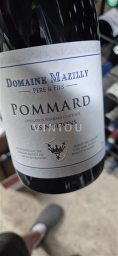 Borgonha Pommard Domaine Mazilly Les Noizons 2022
