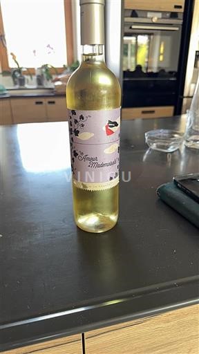 Valle della Loira Muscadet Sèvre et Maine Mademoiselle M Côte d'Amour 2023