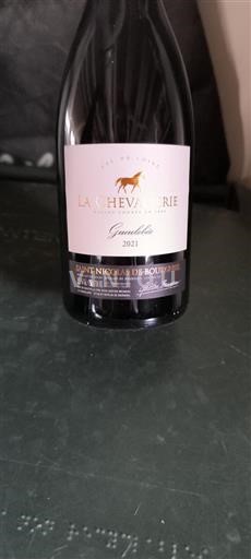 Valle della Loira Saint-Nicolas-De-Bourgueil La Chevalerie Gueulelée 2021