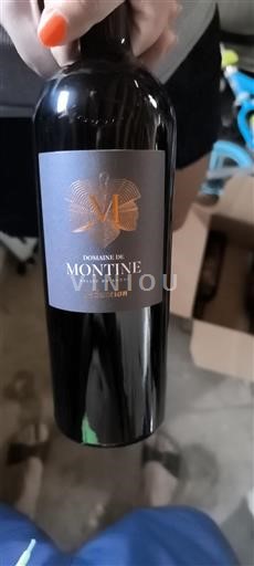 Rhône-dalen Ikke specificeret Domaine Montine Séduction 2024