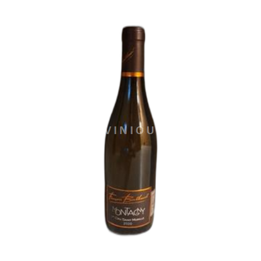 Bourgondië Montagny Premier Cru François Berthenet Montagny 1er Cru Saint Morille 2020