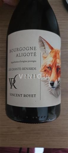 Borgogna Borgogna Aligoté Vincent Royet Les Chante-Renards 2023