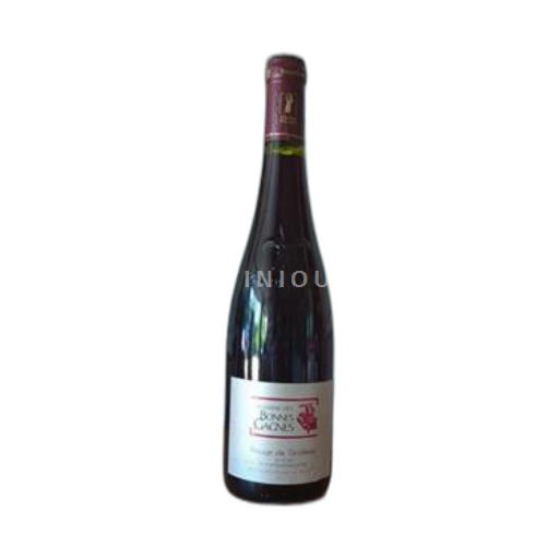 Loire-dalen Loiredalen Domaine Des Bonnes Gagnes Rouge de Grolleau Ikke årgangsbestemt