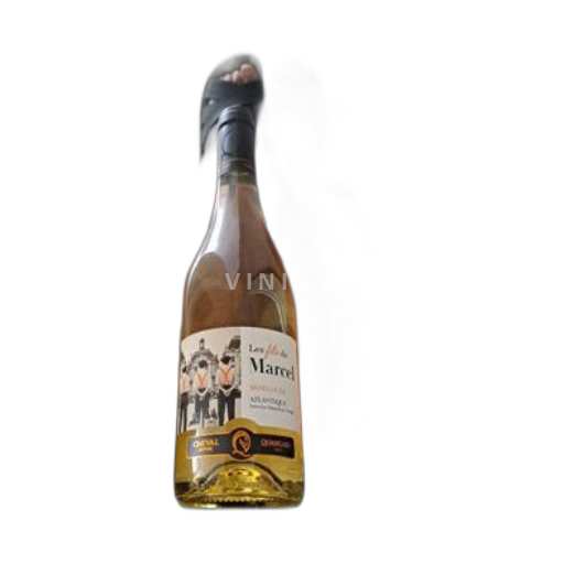 Vin Blanc moelleux Les fils de Marcel Quancard Non millésimé France Aquitaine et Charentes Atlantique IGP