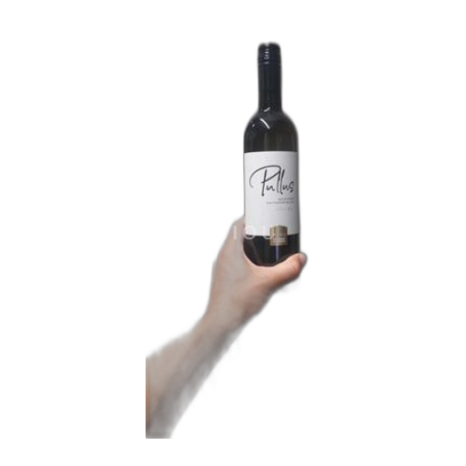Eslovenia Oriental Štajerska Eslovenia Ptujska Klet Pullus sauvignon blanc 2024