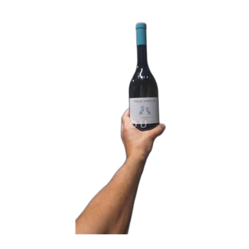 Vin Blanc sec Furmint Tokaj Nobilis 2023 Hongrie Tokaj