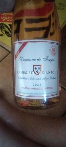 Valle della Loira Cabernet d'Anjou Domaine Forges 2023
