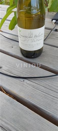 Valle della Loira Muscadet Sèvre et Maine Domaine Des Baluetts Les Coteaux 2022