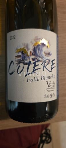 Valle della Loira Gros-plant-del-paese-nantese Vices & Vertus Colère Folle Blanche 2022