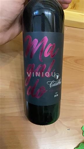 Tuscany Not Specified Carobbio Magaldo 2016