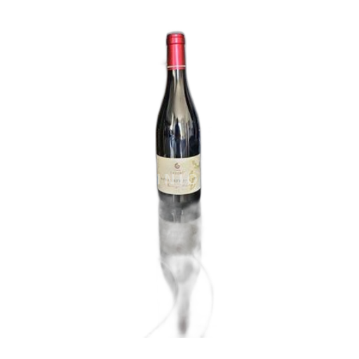 Bourgogne Mercurey Premier Cru Domaine David Lefort Champs Martin 2022