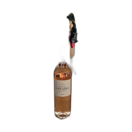 Vin Rosé sec Château Canadel 2024 France Provence Bandol AOC bio