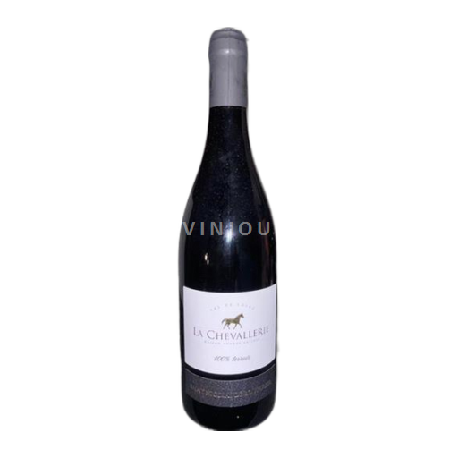 Valle della Loira Saint-Nicolas-De-Bourgueil La Chevallerie 100% terroir 2024