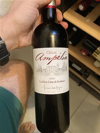 Bordeaux Castillon-côtes-de-bordeaux Château Ampélia 2021