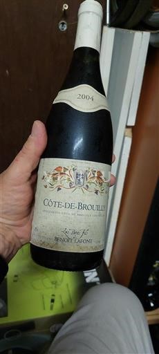 Beaujolais Côte-de-brouilly Benoit Lafont Les Petits Fils de 2004