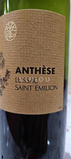 Bordeaux Lussac-saint-émilion Anthèse 2019