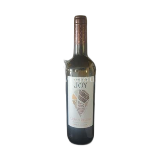 Sydvestfrankrig Côtes de Gascogne Domaine Joy Ode à la Joie 2022