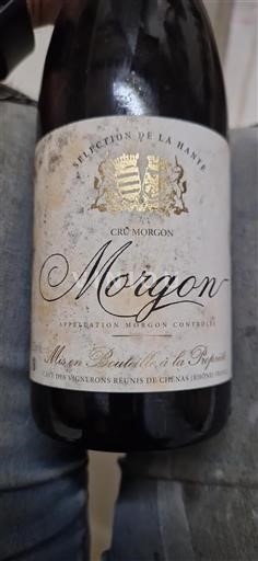 Beaujolais Morgon Cave des Vignerons Réunis de Chénas Sélection de la Hante 2023