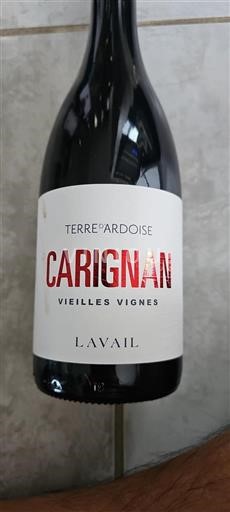 Linguadoca e Rossiglione Côtes catalanes Lavail Terre d'Ardoise Carignan Vieilles Vignes 2022