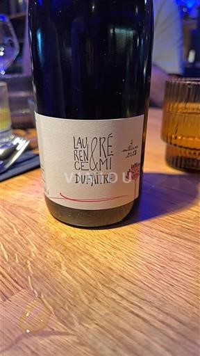 Beaujolais Ikke specificeret Laurence et Rémi Dufaitre 2023