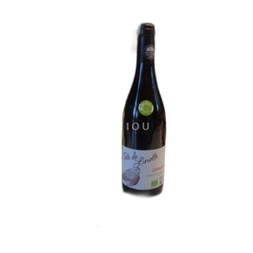 Valle della Loira Chinon Vignerons Engagés Chinon Tete de Linotte 2023