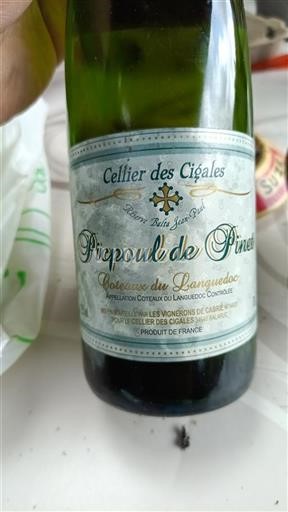 Langvedok Picpoul-de-Pinet Cellier des Cigales Réserve Balta Jean-Paul Neleten.