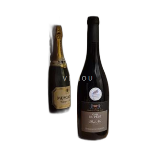 Vin Rouge sec Cuvée du Pépé Domaine Guelet 2023 France Alpes et pays Rhodaniens Comtés rhodaniens IGP