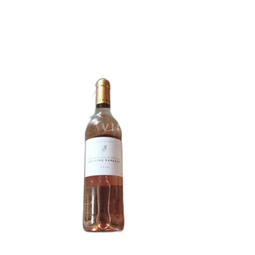 Provence Coteaux Varois en Provence Les Cinq Rameaux 2024