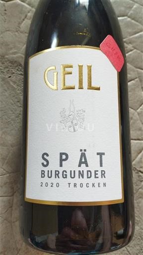 Rheinhessen Geil Spätburgunder 2020