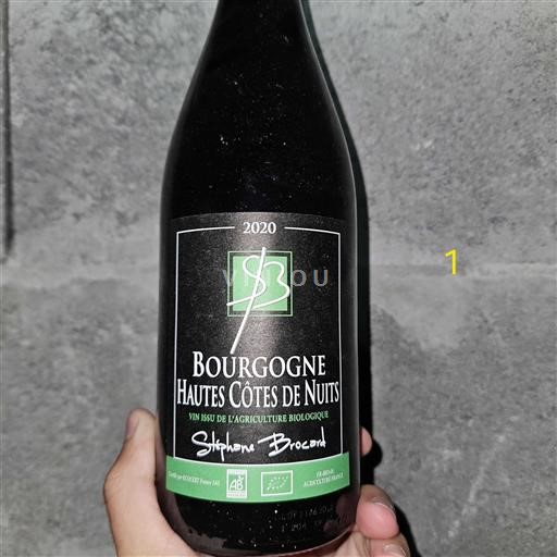 Vin Rouge sec Stéphane Brocard 2020 France Bourgogne Hautes Côtes de nuits AOC bio
