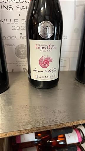 Loire-dalen Saumur Domaine Grand Clos Ammonite du Clos 2022