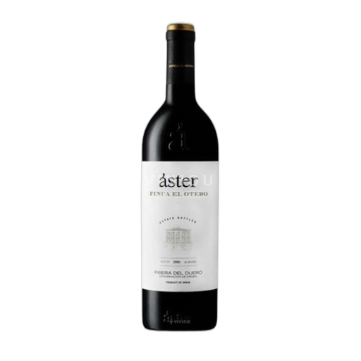Castile and León Ribera del Duero Áster Finca El Otero 2016