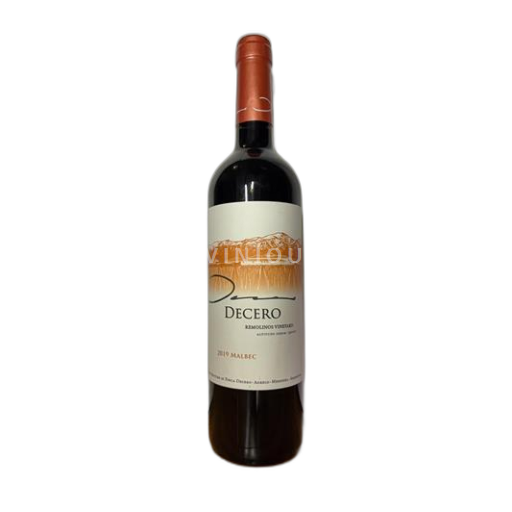 Mendoza Non specificato Decero Remolinos Vineyard 2019