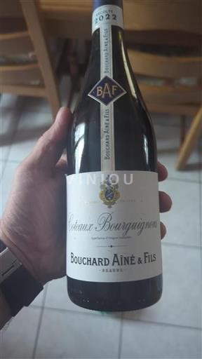 Burgundsko Burgundské vinice Bouchard Aîné & Fils 2022