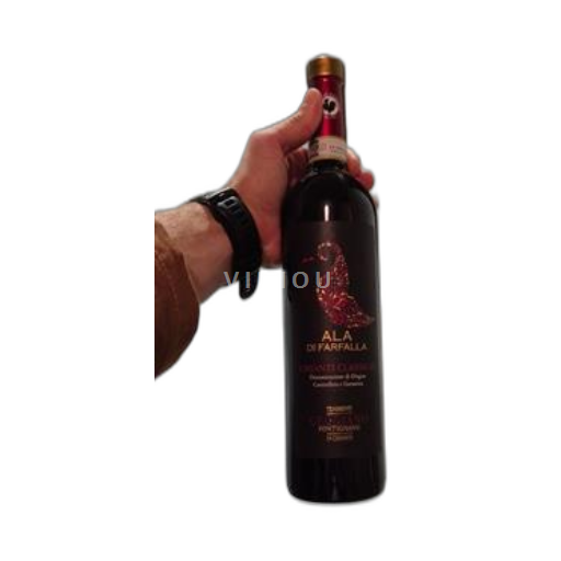 Toscane Chianti Classico Tenimenti Geggiano Ala di Farfalla 2022