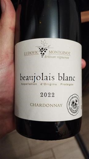 Beaujolais Ikke specificeret Ludovic Montginot 2022