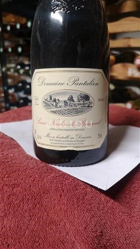 Valle della Loira Saint-Nicolas-De-Bourgueil Domaine Pantaleon 2016