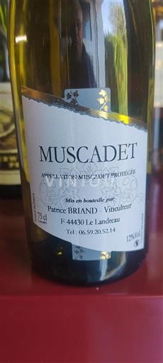 Valle della Loira Muscadet Patrice BRIAND Senza annata