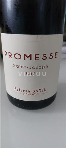 Rhônedalen Saint-Joseph Sylvain Badel PROMESSE 2017