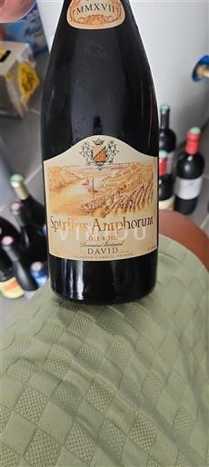 Vallée du Rhône Côte-rôtie Domaine Bertrand Spiritus Amphorum 2017