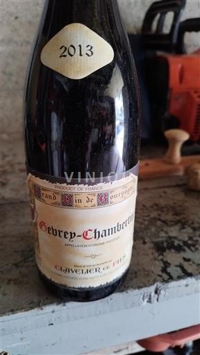 Borgogna Gevrey-Chambertin Clavelier et Fils 2013