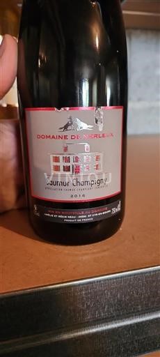 Vallée de la Loire Saumur-champigny Domaine Nerleux 2016