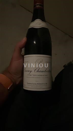 Bourgogne Gevrey-chambertin Premier Cru Domaine Lucien Boillot & Fils Les Cherbaudes 2015