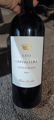 Bordeaux Saint-Émilion Léo de la Gaffelière Terra Excellia 2018