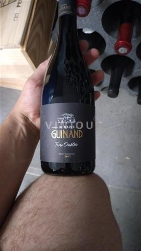 Languedoc Niet gespecificeerd Domaine Guinand Terre Oubliée 2022
